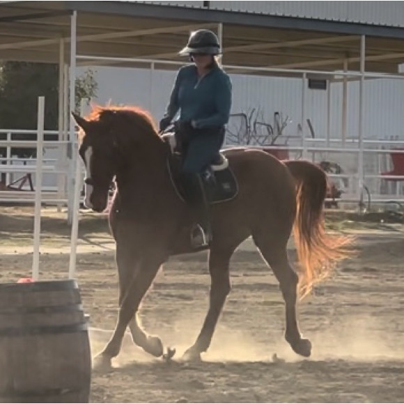 Meet your Posher, Jill - Picture 2 of 2